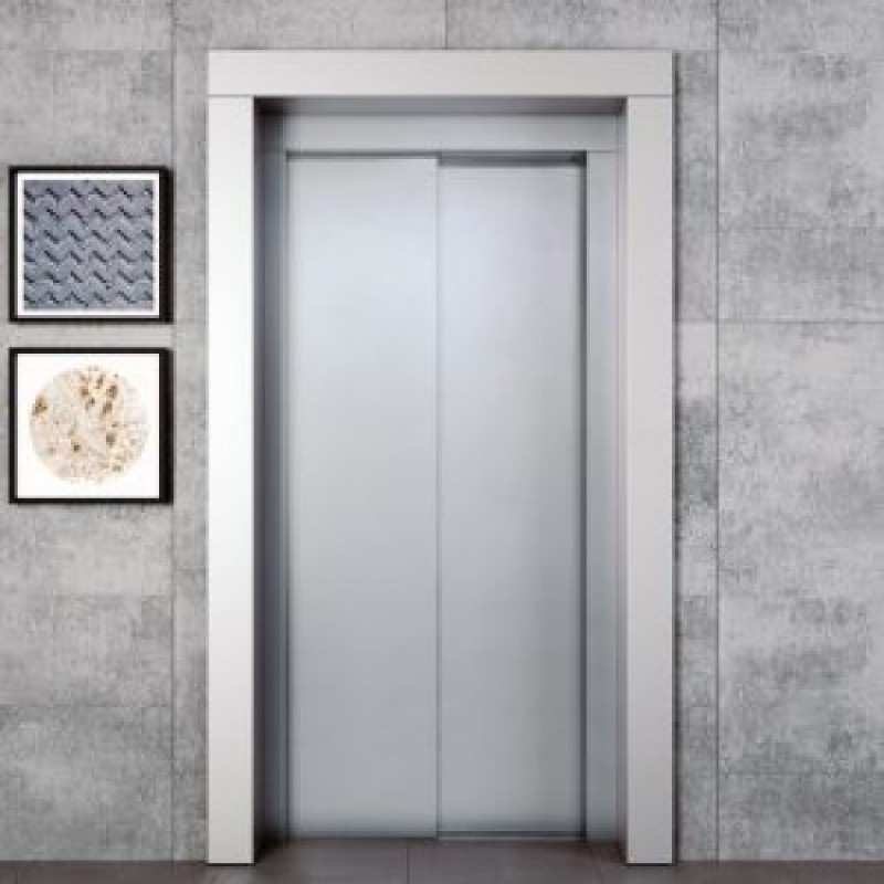 Exterior Automatic Door Stainless Steel HAS 80 cm - Center